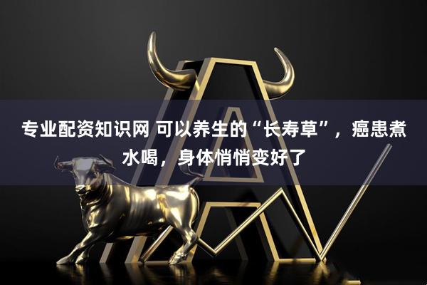 专业配资知识网 可以养生的“长寿草”，癌患煮水喝，身体悄悄变好了